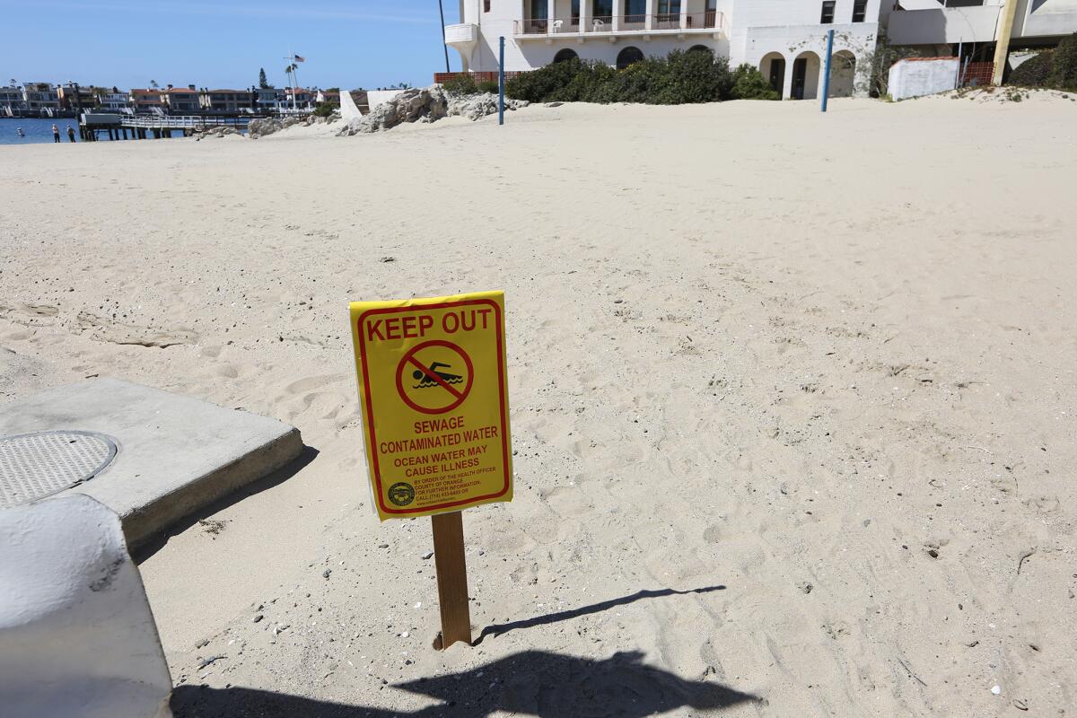 A 1,000-gallon sewage spill was reported in Newport Bay Monday.