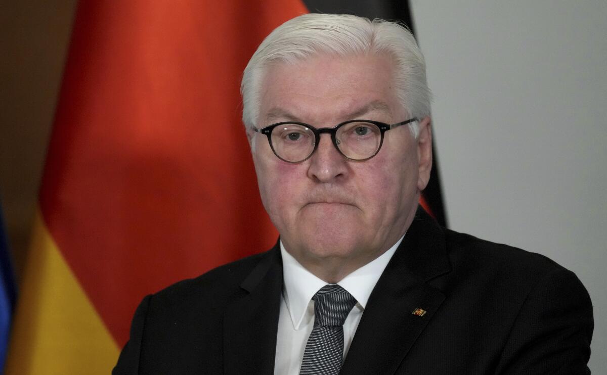 German President Frank-Walter Steinmeier