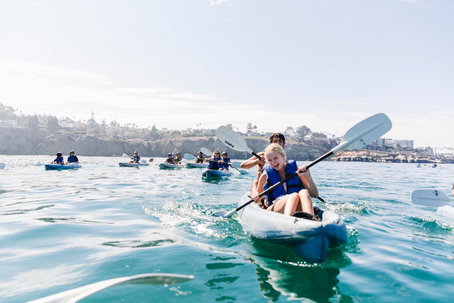 The 5 Best Spots to View Seals and Sea Lions in La Jolla - Everyday  California