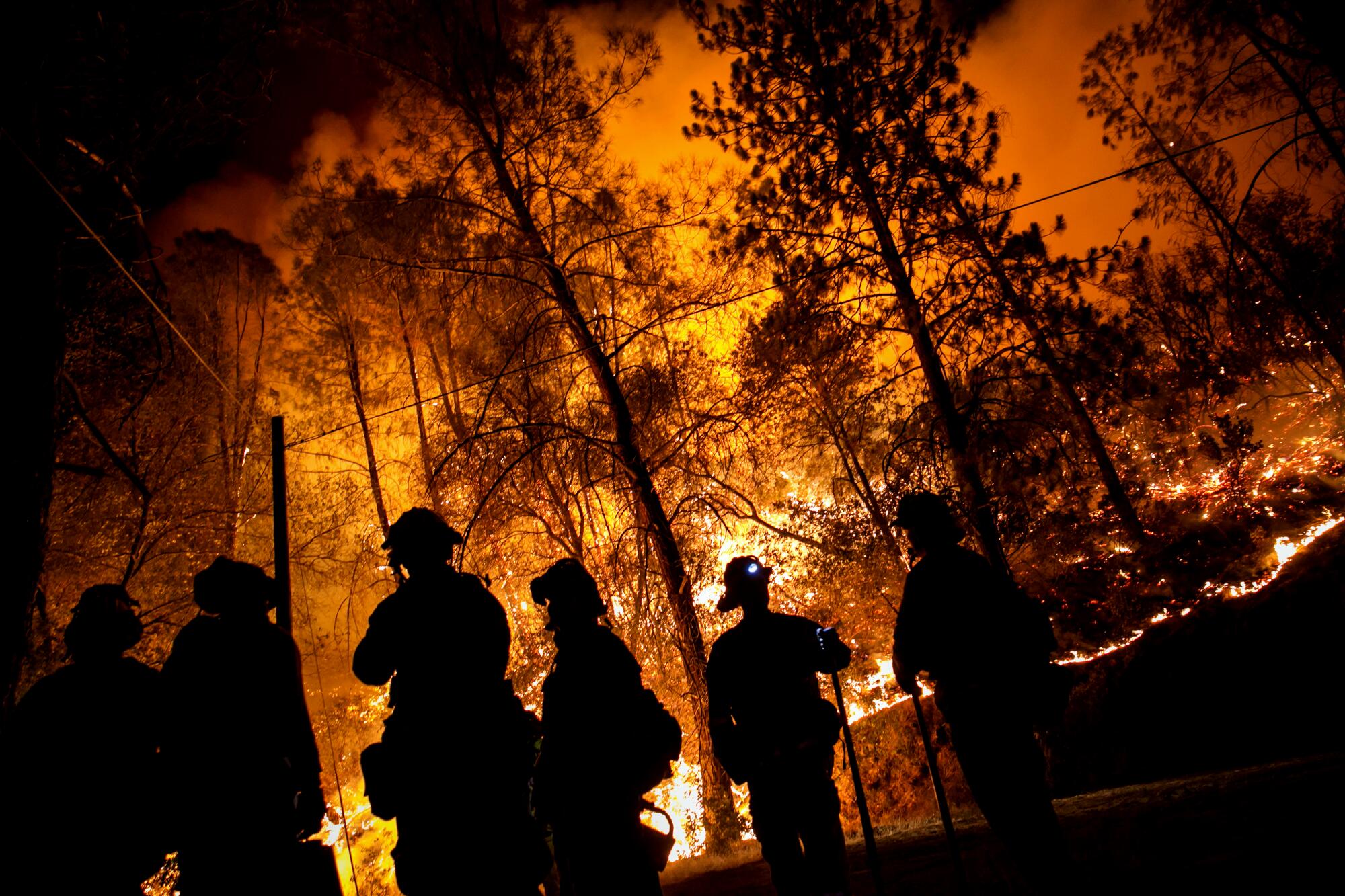 Firefighters battle the 2015 Butte fire 