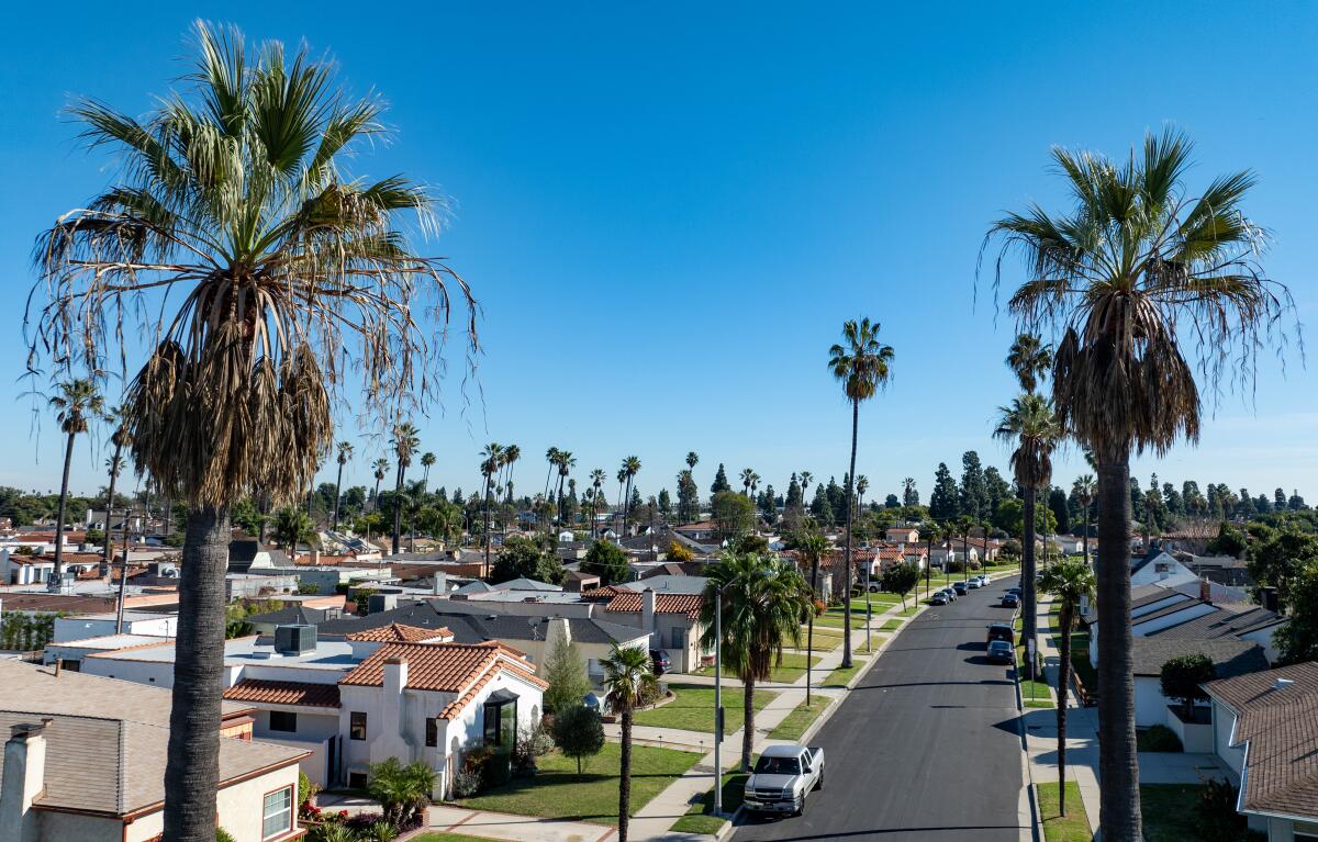 Tidy homes with manicured lawns on palm-lined Bronson Avenue in Leimert Park 