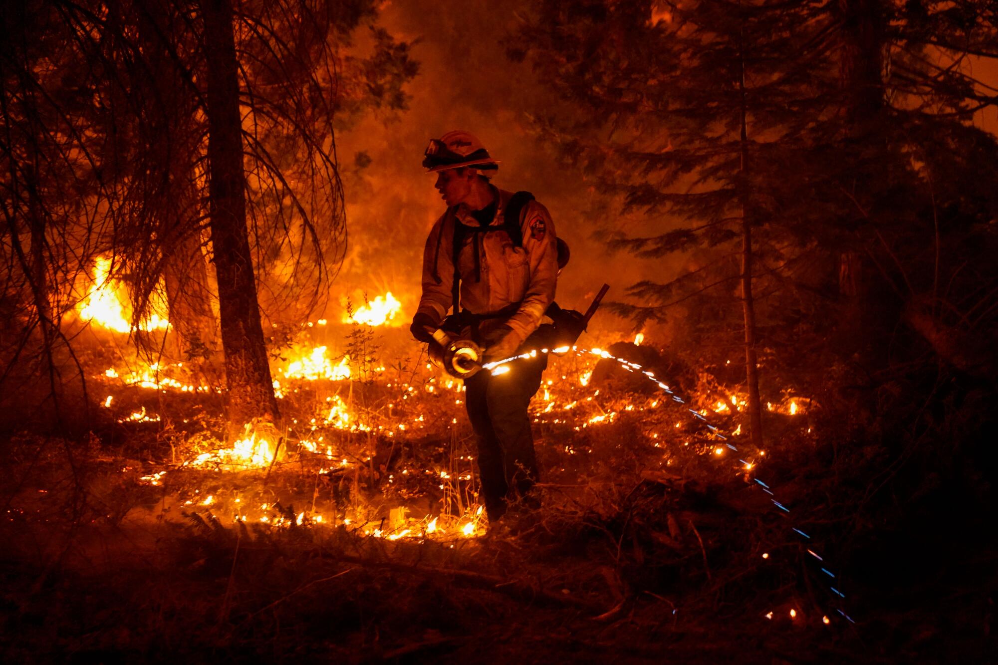 Ricardo Gomez  takes part in conducting a back burn operation during the Creek Fire in 2020.