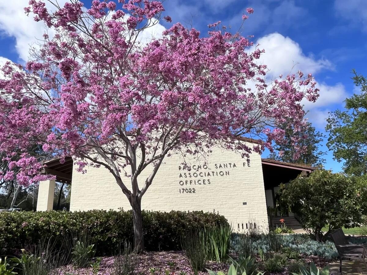 The Rancho Santa Fe Association offices.