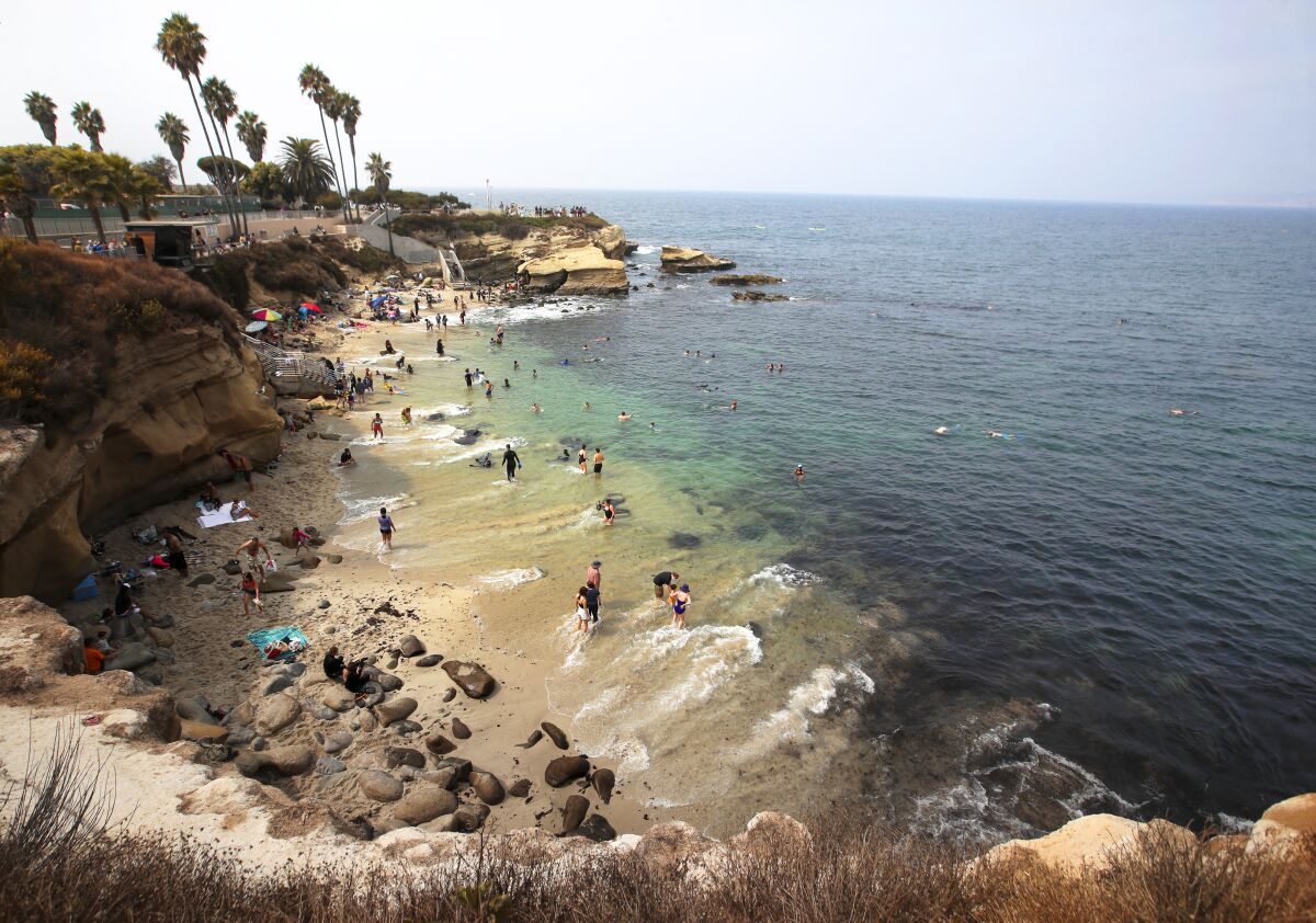 Beachgoers take to the water at La Jolla Cove on Sept. 13.