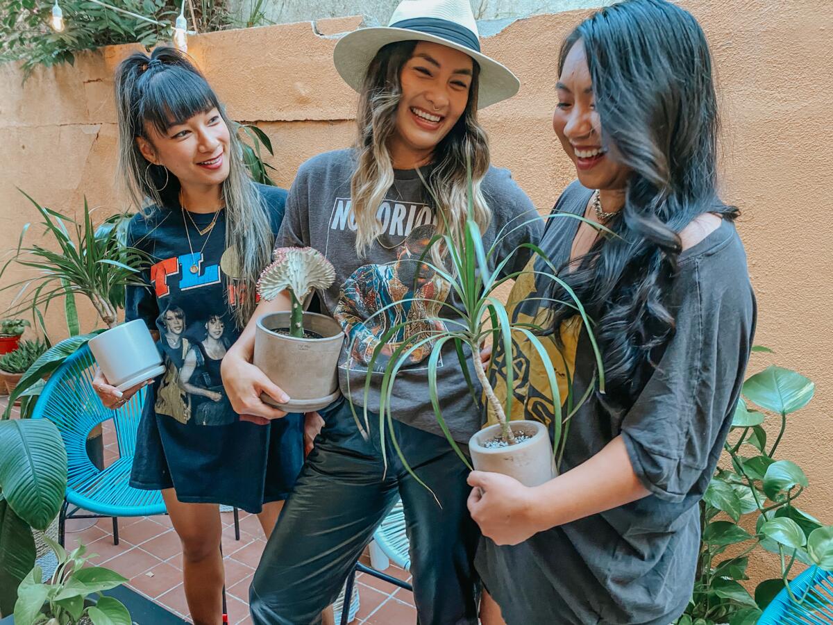 Three smiling women, each holding a small potted plant