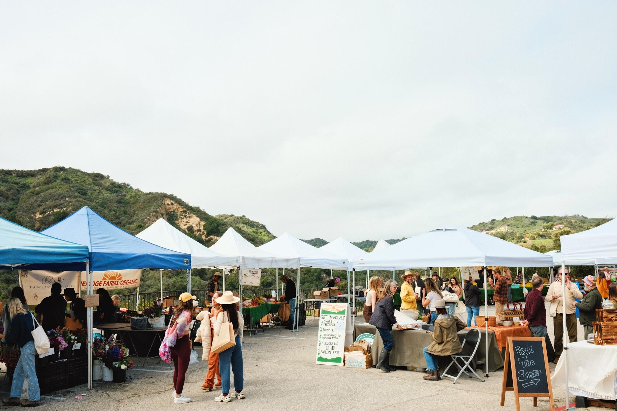 Stalls and shoppers at the Topanga Farmers Market; behind is the greenery of the Santa Monica Mountains