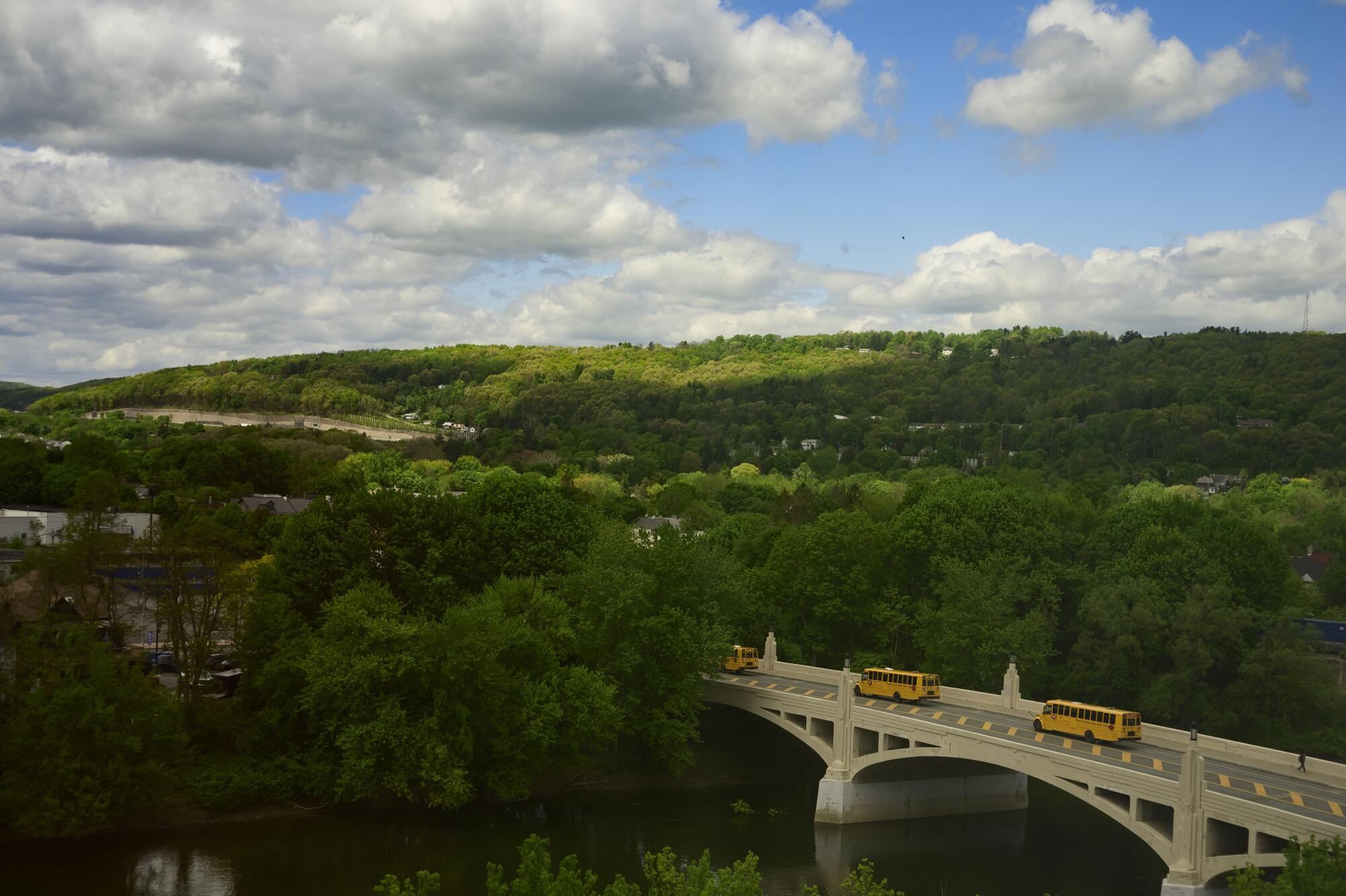 Yellow buses cross a bridge into green rolling hills.