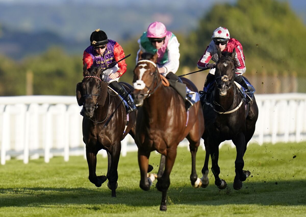 Educator and Tom Marquand, left, in action during the Radcliffe & Co Handicap at Salisbury Racecourse, Thursday Sept. 29, 2022. The famous royal silks returned to British horse racing on Thursday, with the first runner under the ownership of King Charles III, Educator, finishing a distant second at Salisbury. (Andrew Matthews/PA via AP)