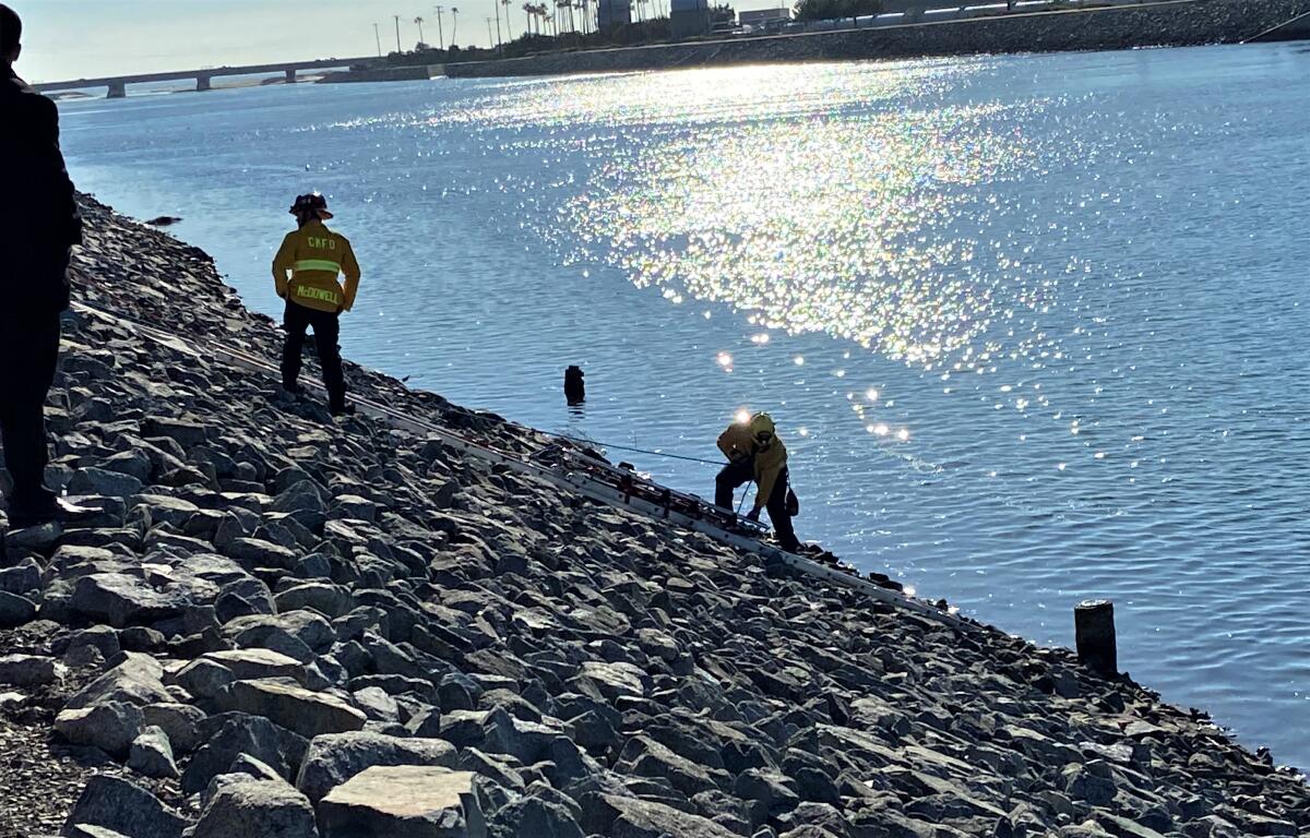 Responders on scene at the Santa Ana River Jan. 4, after a call of a human body floating in the water was made.