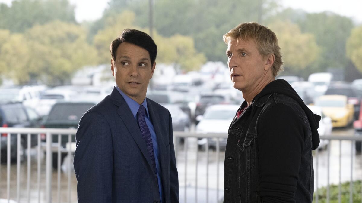 How do Valley dojos feel about Netflix's show 'Cobra Kai'? - Los Angeles  Times