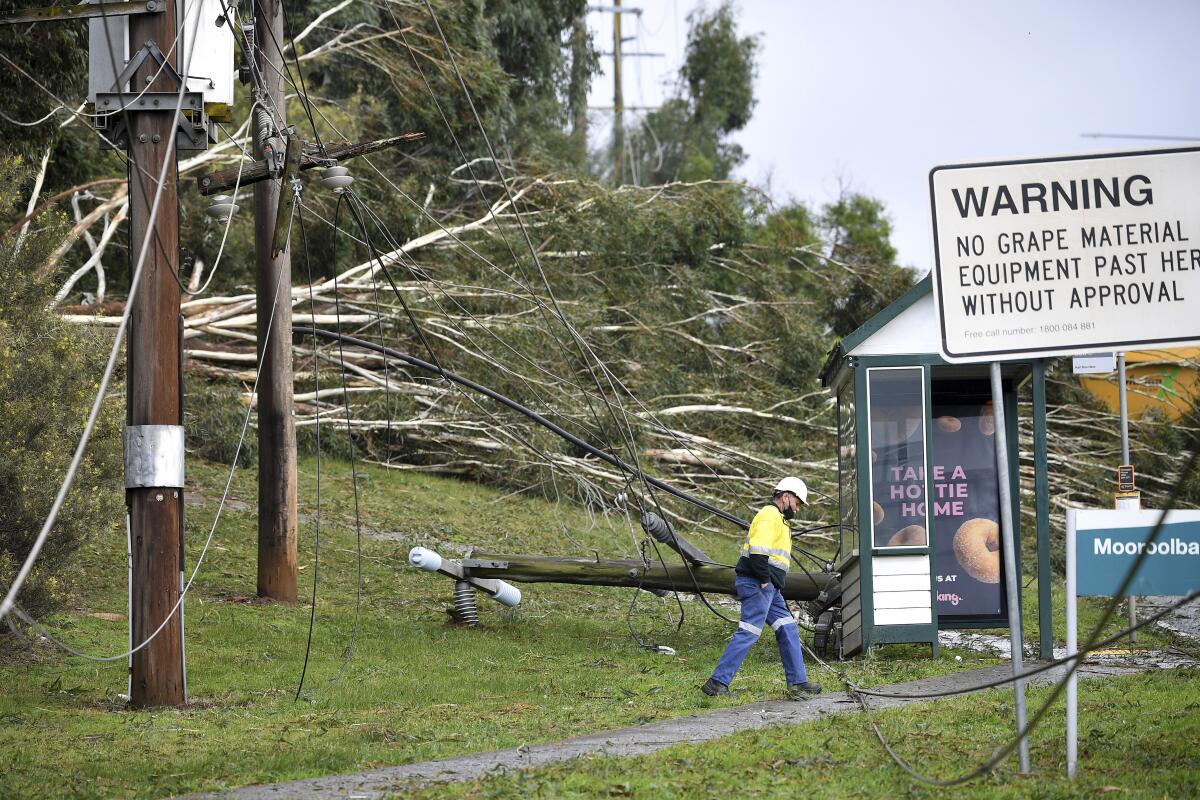 Downed power lines and fallen trees scatter the area in Lilydale, Melbourne, Australia, Thursday, June 10, 2021. Wild weather has toppled trees which have trapped people in cars and homes in Australia's southeast. More than 200,000 homes have been left without power as many brace for flooding (James Ross/AAP Image via AP)