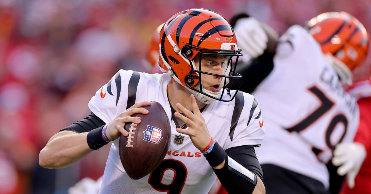 Bengals quarterback: Team now knows what it takes to win the Super