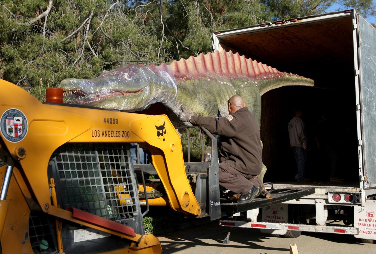 Photo Gallery: Life-size animatronic dinosaurs arrive at the L.A. Zoo for upcoming exhibit