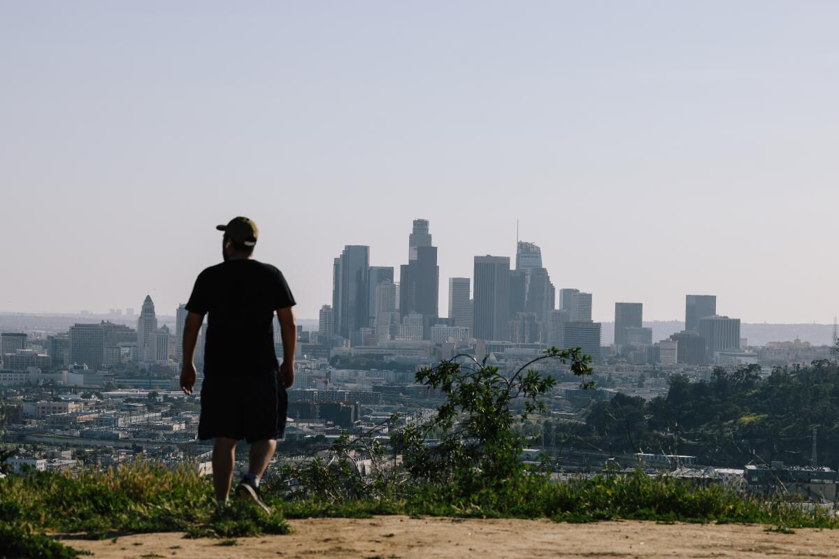 A person looks out to downtown L.A. from from Montecito Heights in 2023.