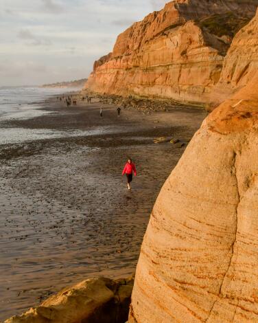 Torrey Pines State Natural Reserve, a popular hiking spot.