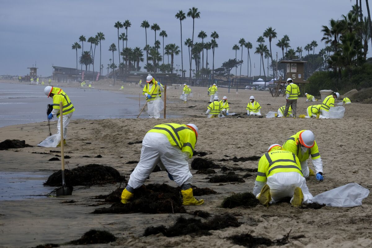 FILE - Workers in protective suits clean the contaminated beach in Corona Del Mar after an oil spill off the Southern California coast, on Oct. 7, 2021. A Dec. 3, 2021, report filed with federal regulators revealed the offshore pipeline that spilled tens of thousands of gallons of crude oil off the Southern California coast in October 2021 did not have a fully functioning leak detection system. The report was filed by pipeline operator, Beta Offshore, a subsidiary of Houston-based Amplify Energy. (AP Photo/Ringo H.W. Chiu, File)