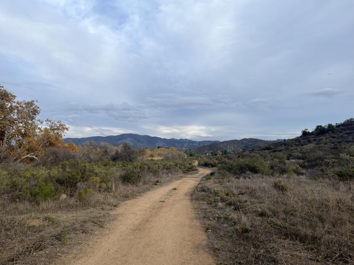 The second half of the hike allows for easy walking and a chance to enjoy the area's wildlife.