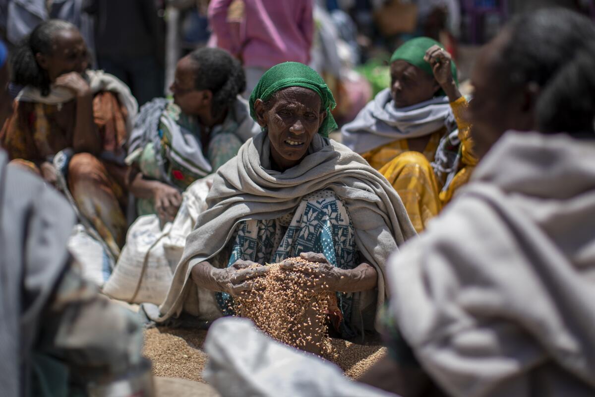 In this Saturday, May 8, 2021, photo, an Ethiopian woman scoops up grains of wheat after it was distributed by the Relief Society of Tigray in the town of Agula, in the Tigray region of northern Ethiopia. As the United States warns that up to 900,000 people in Tigray face famine conditions in the world’s worst hunger crisis in a decade, little is known about vast areas of Tigray that have been under the control of combatants from all sides since November 2020. With blocked roads and ongoing fighting, humanitarian groups have been left without access. (AP Photo/Ben Curtis)