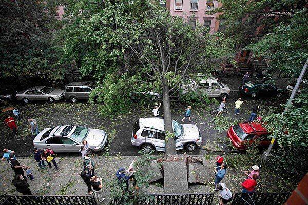 Residents of Brooklyn's Park Slope neighborhood venture out to inspect damage after the afternoon tempest.