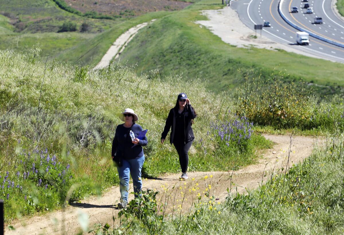 Hikers on the new Saddleback Wilderness trail located in OC Parks' Irvine Ranch Open Space on March 27.