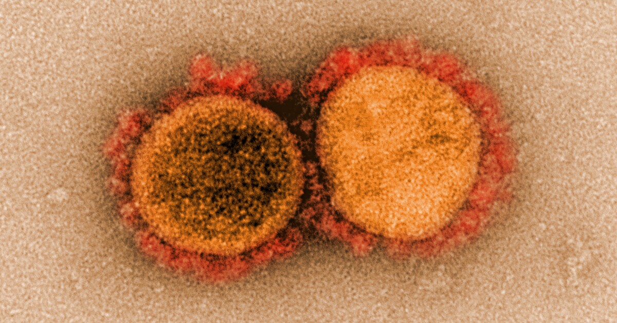 The ‘nightmare scenario’ for the California coronavirus strain