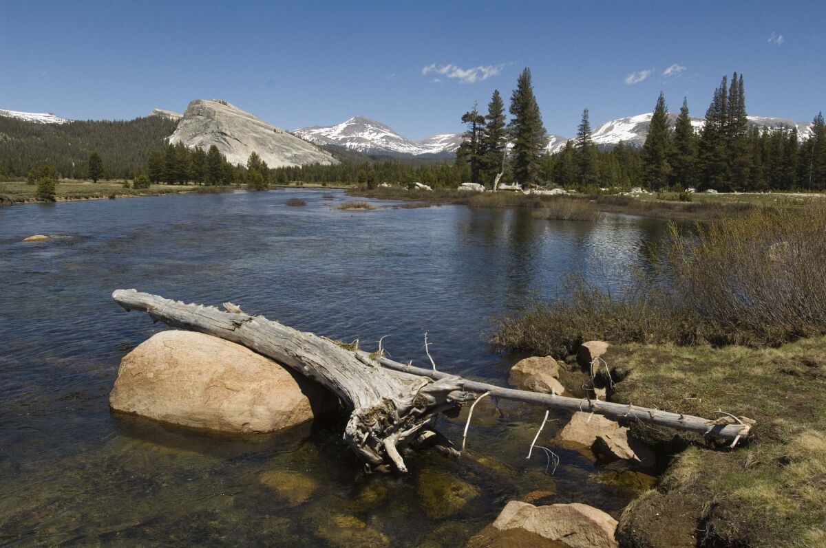 Tuolumne Meadows in Yosemite National Park's high country.