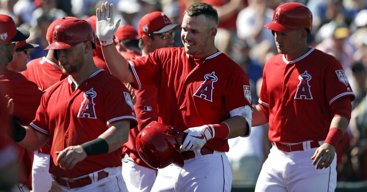 Mike Trout Team Issued 2015 Batting Practice Cap