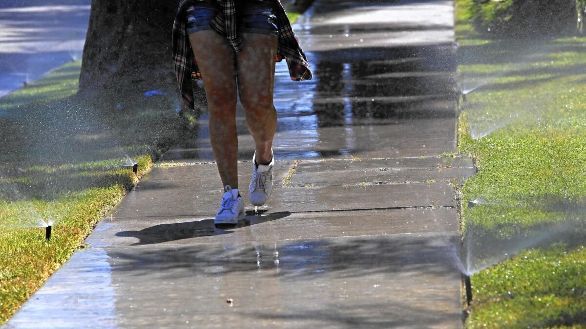 Sprinklers on Sherman Way in the San Fernando Valley soak the sidewalk as well as the grass.