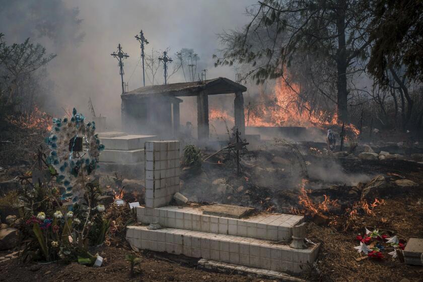 Un incendio forestal arrasa parte de un cementerio en Nogales, México, el 25 de marzo de 2024. Los equipos de emergencia trabajan para contener los incendios activos en parte de la región de las Altas Montañas, en el estado de Veracruz. (AP Foto/Félix Márquez)
