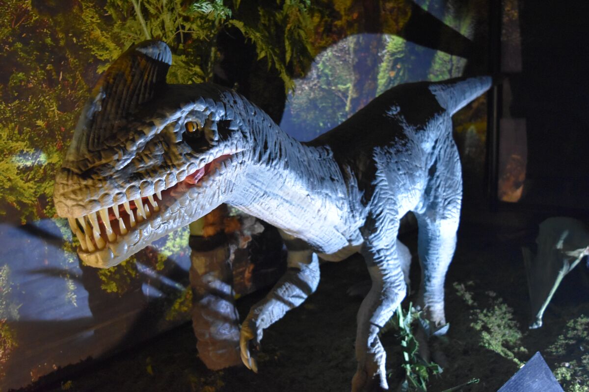 Jurassic Quest dinosaurs will be at the Del Mar Fairgrounds Jan. 21-23.