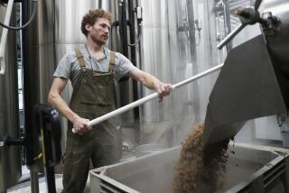 Brewer Scott Peterson retrieves spent grain from a lauterton while brewing a German-style Pilsner at Von Ebert Brewing in Portland, Ore., Sunday, Oct. 22, 2023. The craft brewery have had hops they depend upon from Europe impacted by hot, dry summers over the last couple of years. That’s why some researchers are working on varieties of hops that can better withstand summer heat. (AP Photo/Amanda Loman)