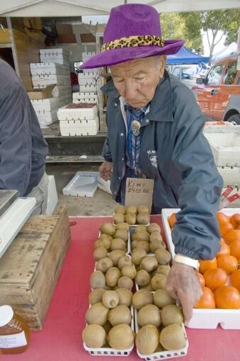Harry Nicholas sets out a punnet of Hayward kiwifruit, the standard commercial variety