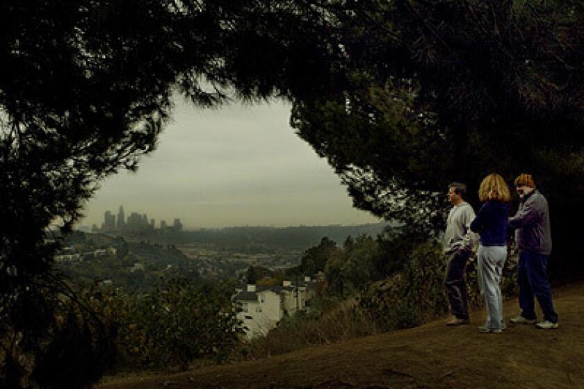 Keith Malone, left, and friends Rachel Surls and Rodney Hoffman look out over downtown L.A. from Debs Regional Park.