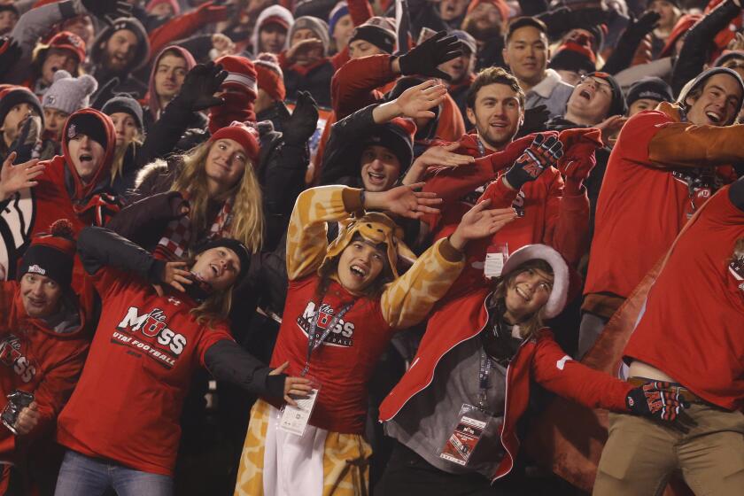 Utah fans celebrate in the second half during an NCAA college football game against Colorado Saturday, Nov. 30, 2019, in Salt Lake City. (AP Photo/Rick Bowmer)