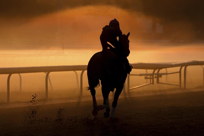 A horse works out ahead of the 156th running of the Belmont Stakes horse race at Saratoga Race Course.