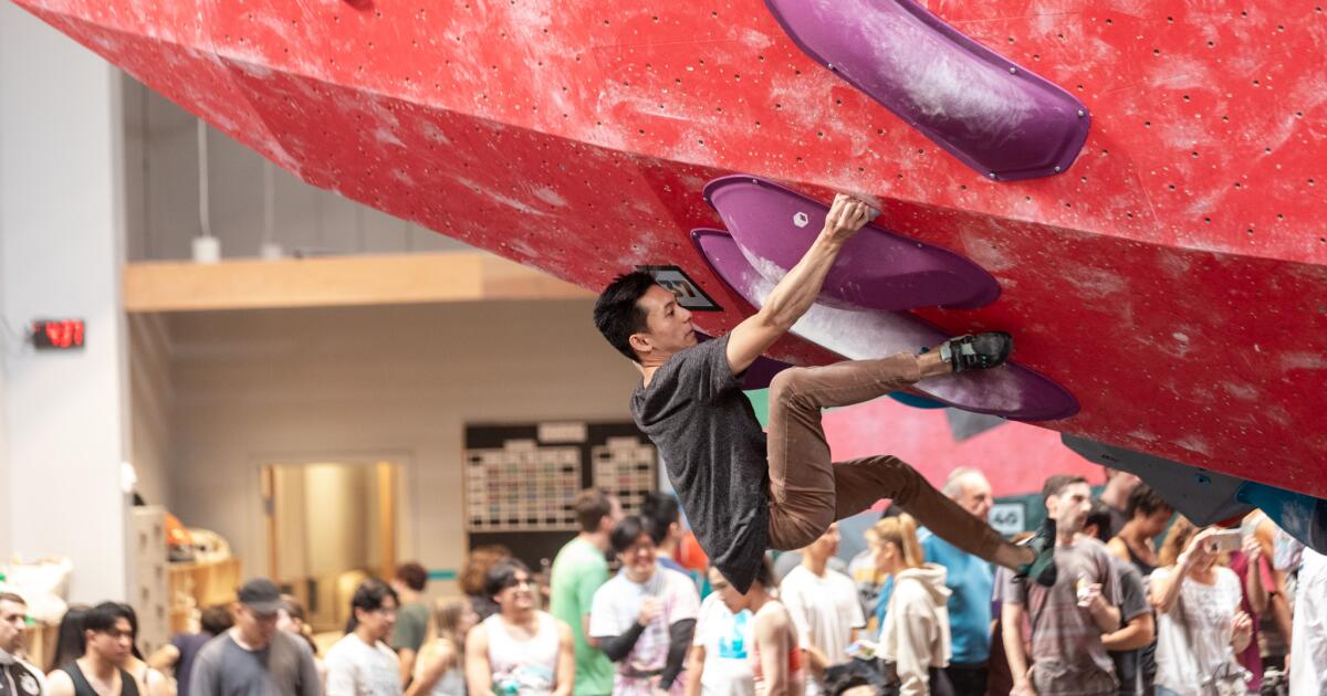 7 ótimas academias de escalada indoor em Los Angeles e Orange County 7 ótimas academias de escalada indoor em Los Angeles e Orange County