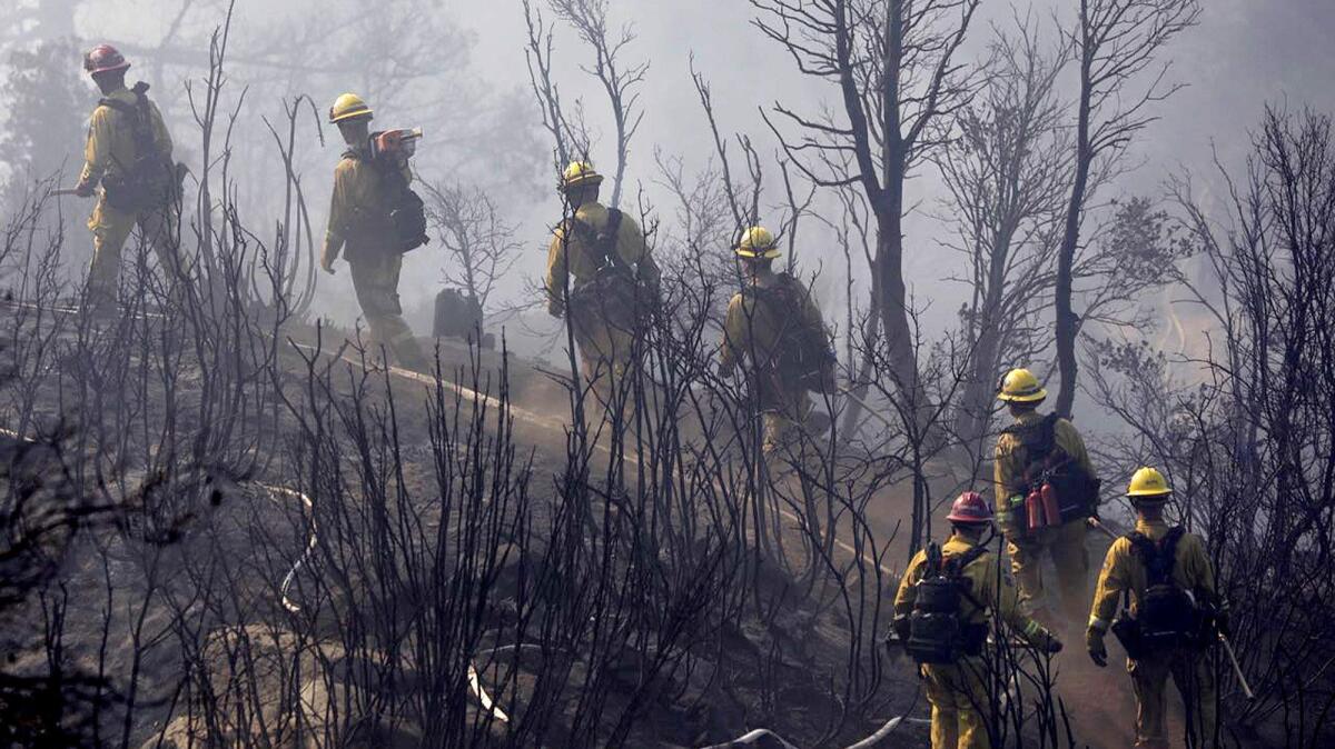 Firefighters cut a path through charred terrain as they work to extinguish a fire in Angeles National Forest.