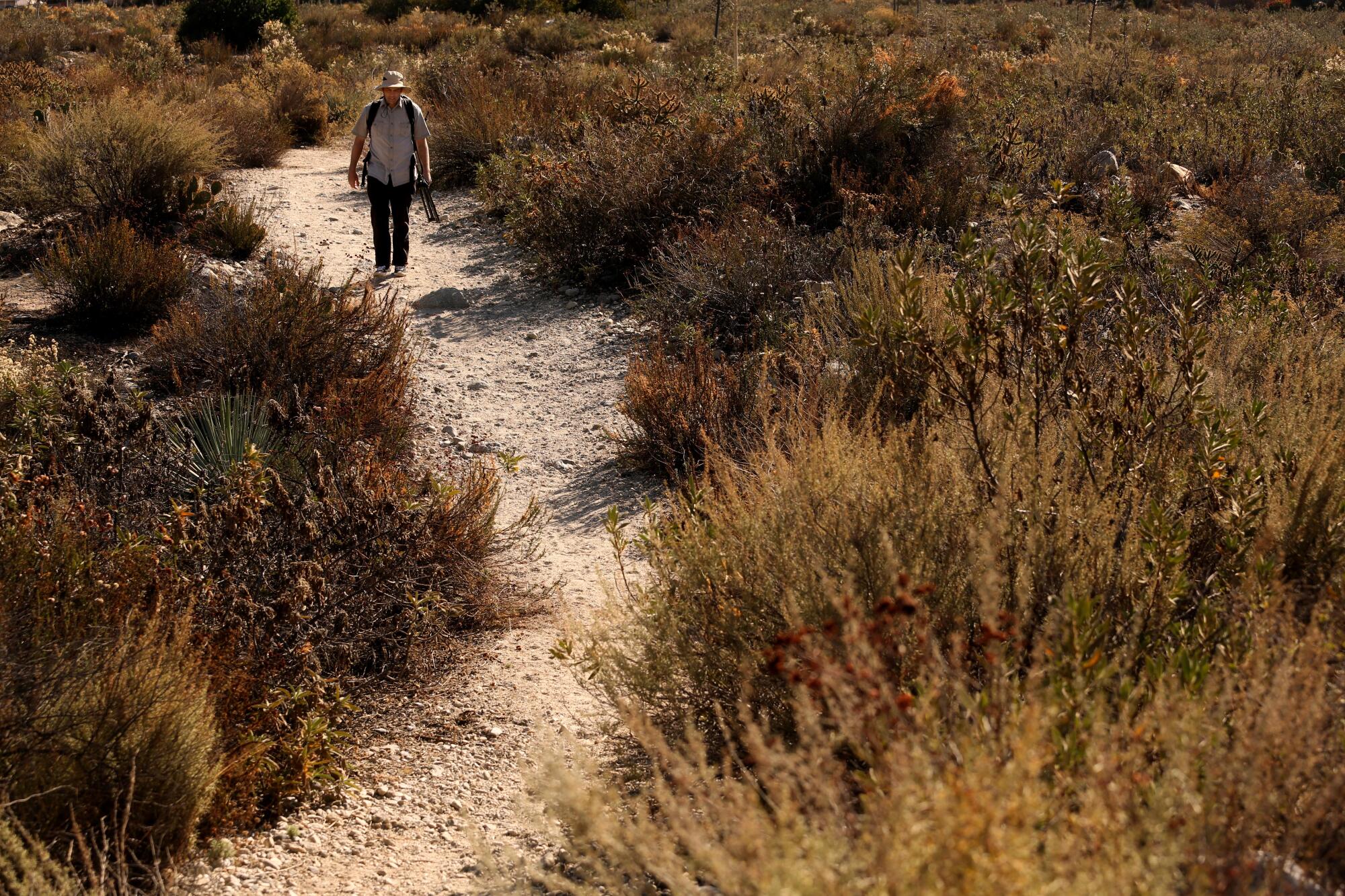 Matt Smith walking along a trail framed by native plants.