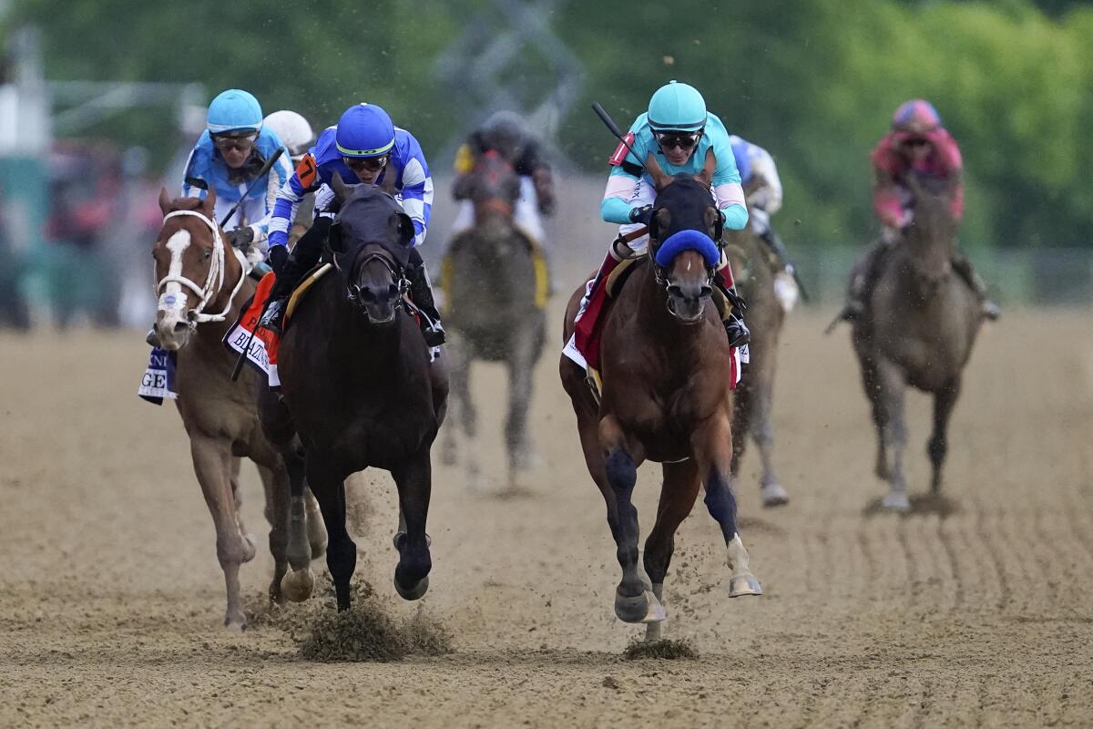 Horses run a full sprint on a dirt track down the stretch.