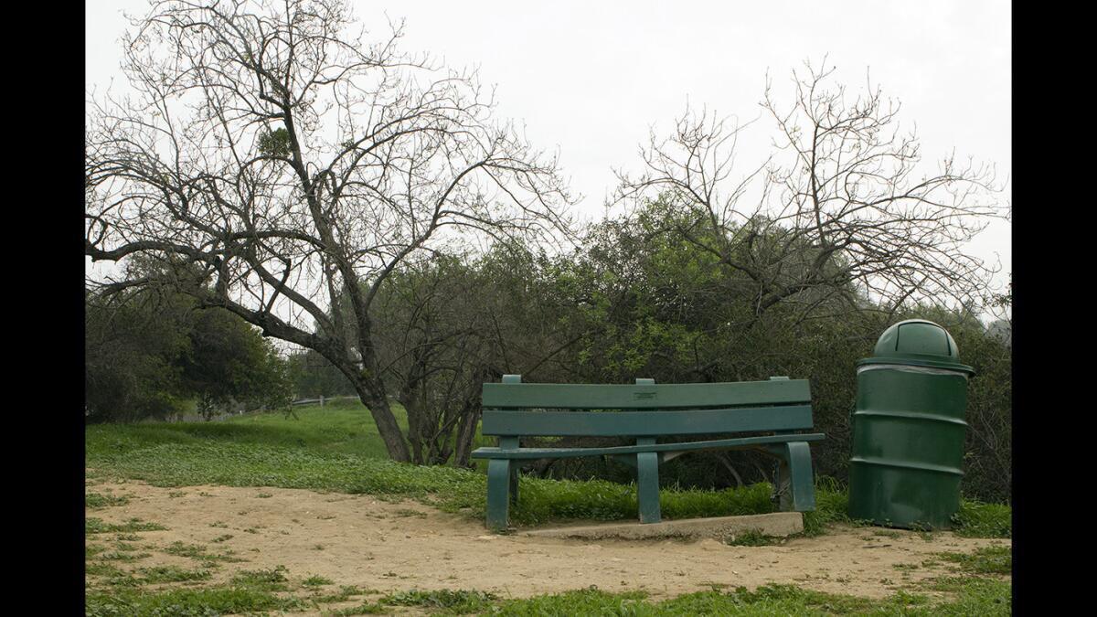 Once you reach the top of the slope, you will find a welcome bench.