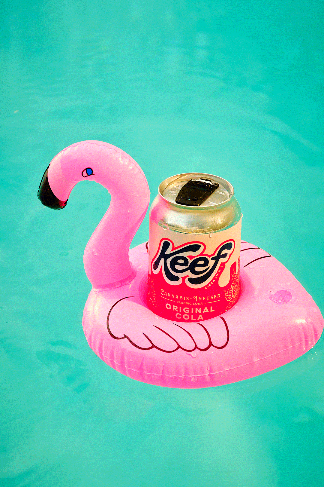 A beverage can floating in a flamingo-shaped pool floatie.