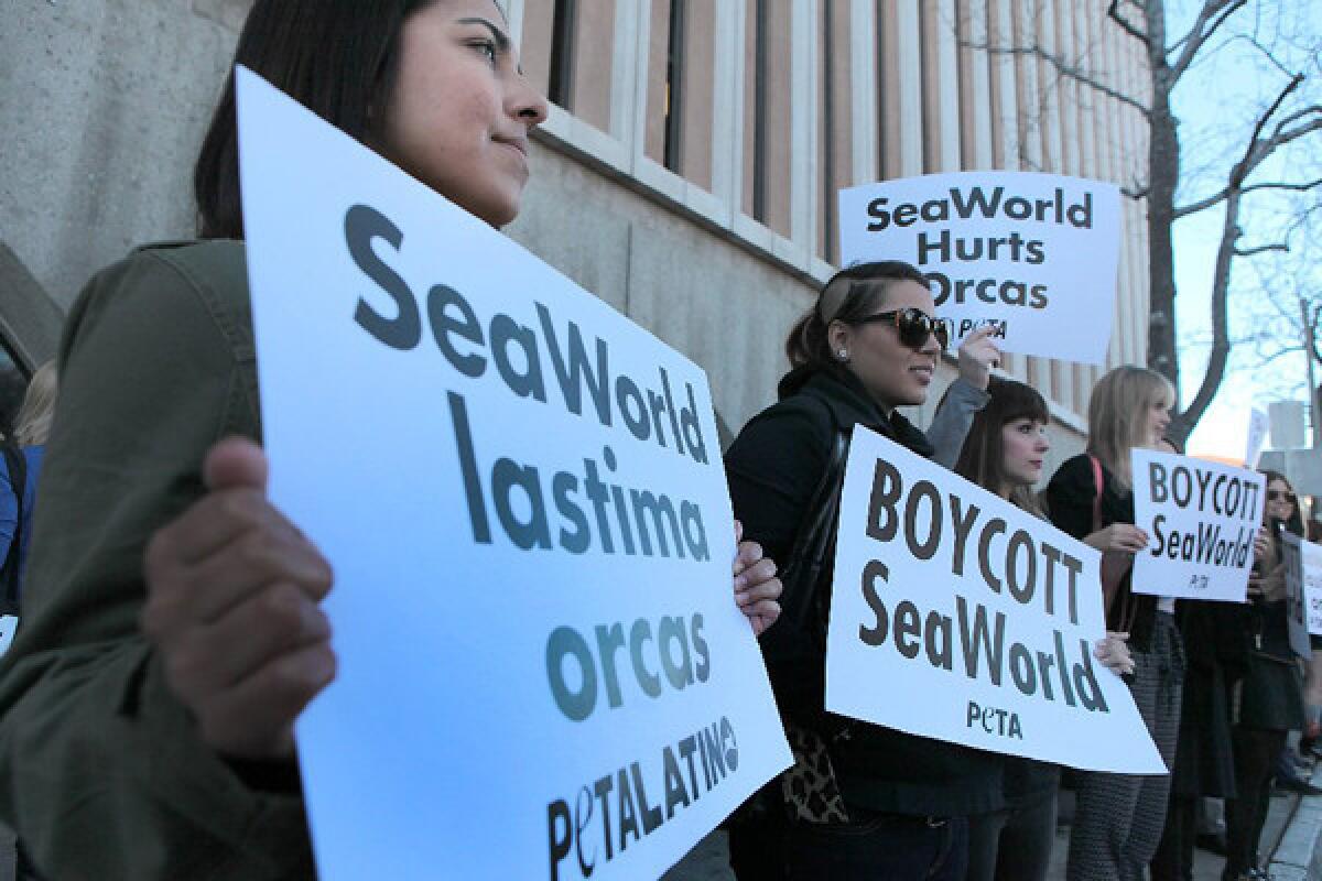 Gabby Soto, left, of Wilmington, holds a sign protesting SeaWorld's treatment of orcas outside the Pasadena Courthouse with PETA members in support of 16 people arrested for protesting against SeaWorld's float in the Rose Parade February 3 2014 in Pasadena.