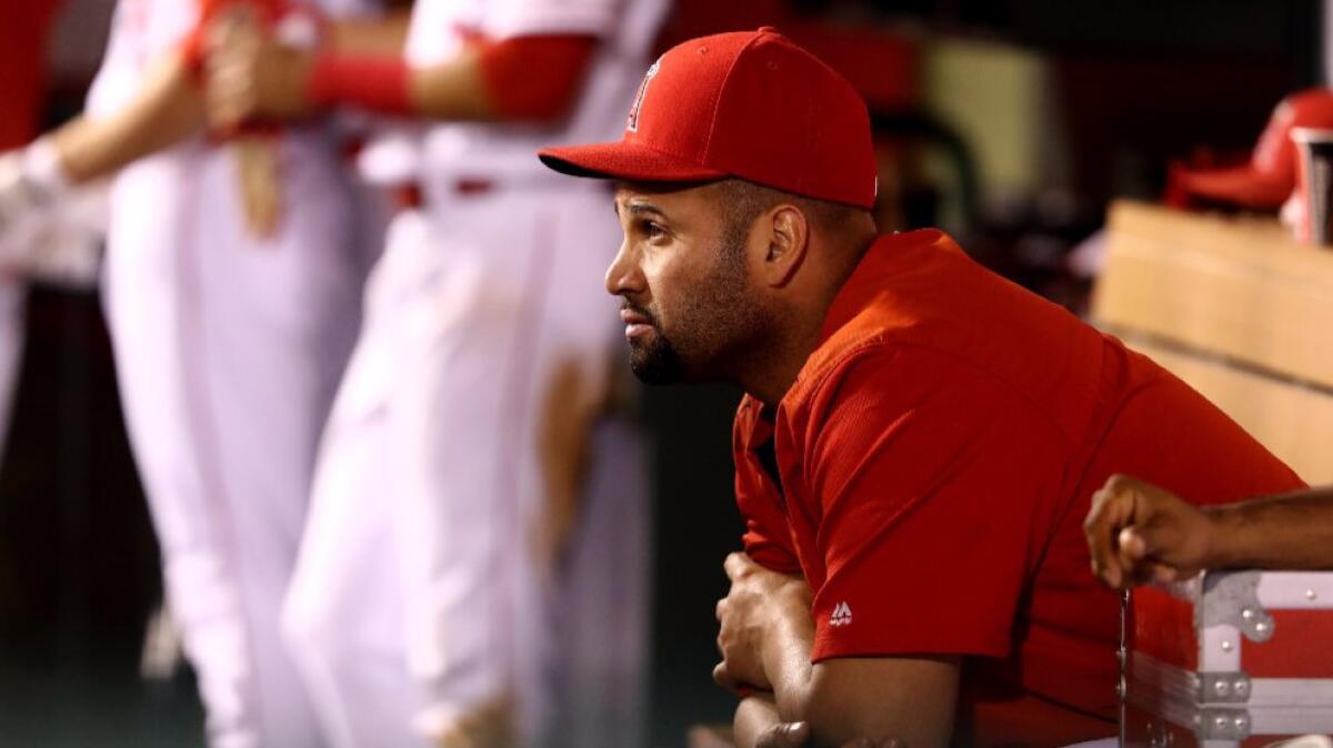 Albert Pujols looks on from the dugout during the Angels' 7-1 win over the Houston Astros on Sept. 30.