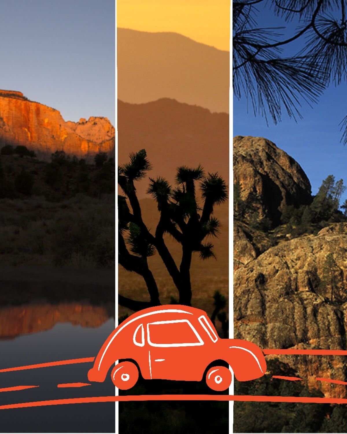 Joshua Tree, Zion and Pinnacles each offer unique national park experiences for travelers