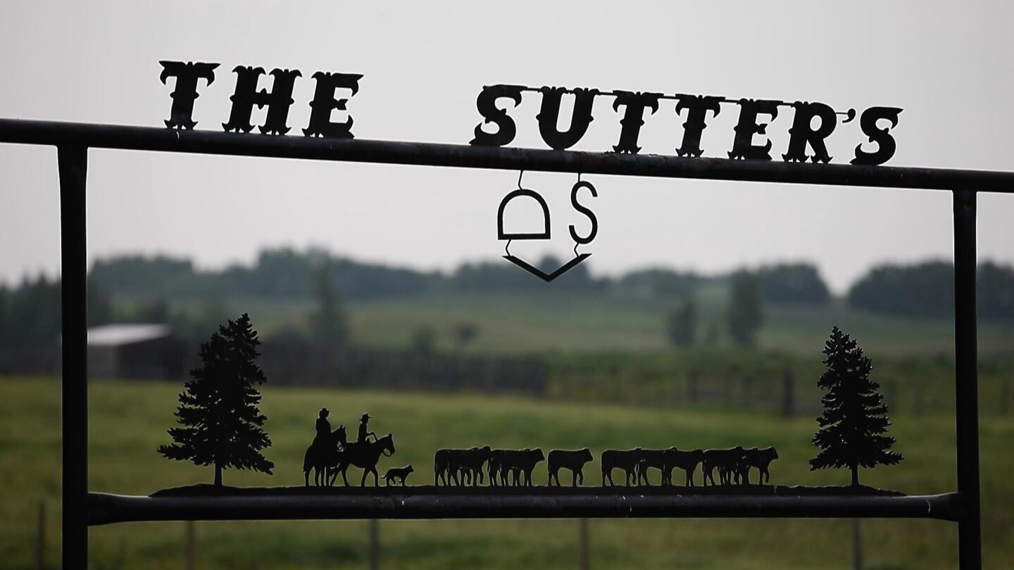 A sculpted sign featuring the Darryl Sutter brand stands at the entrance to the Kings coach's sprawling cattle ranch.