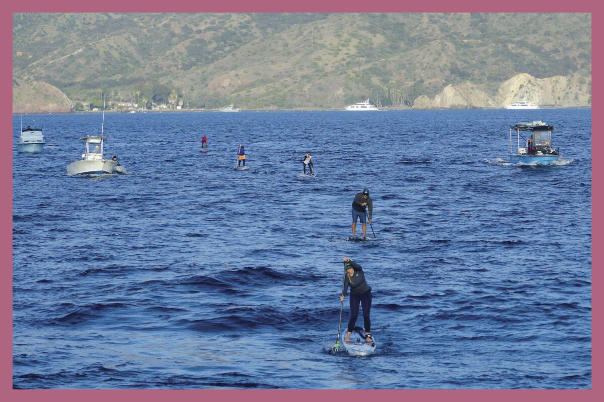 Paddle boarders on the water from Catalina Island