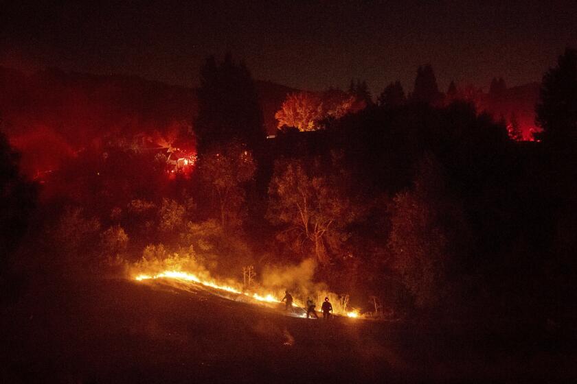 Firefighters work to contain a wildfire burning off Merrill Dr. in Moraga, Calif., on Thursday, Oct. 10, 2019. Police have ordered evacuations as the fast-moving wildfire spread in the hills of the San Francisco Bay Area community. The area is without power after Pacific Gas & Electric preemptively cut service hoping to prevent wildfires during dry, windy conditions throughout Northern California. (AP Photo/Noah Berger)