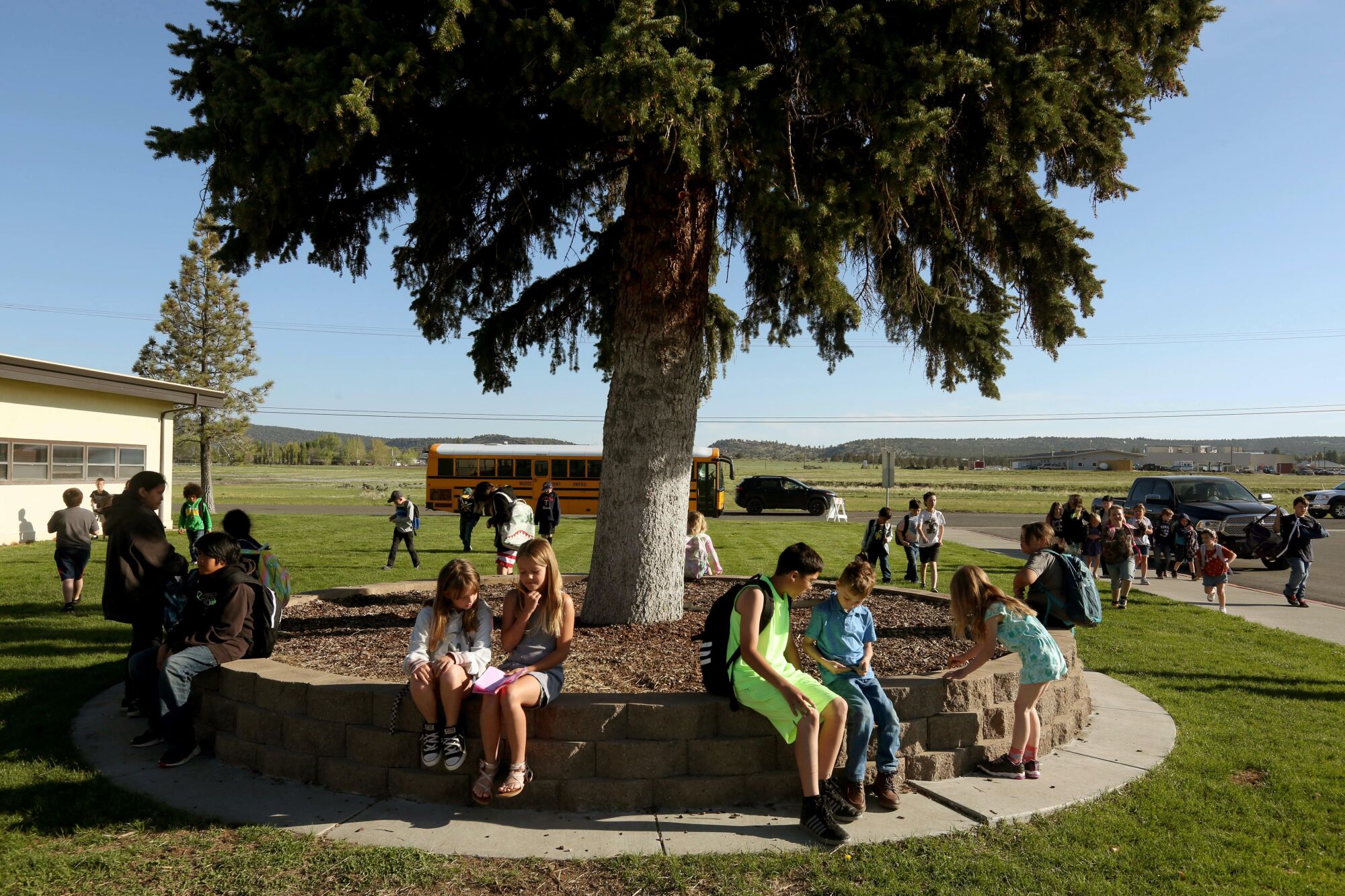 Students sit under a tree as others arrive at the start of school at Alturas Elementary.