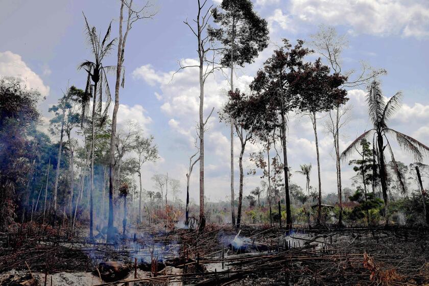 TOPSHOT - View of a burnt area in the Amazon rainforest, near Porto Velho, Rondonia state, Brazil, on August 25, 2019. - Brazil on Sunday deployed two C-130 Hercules aircraft to douse fires devouring parts of the Amazon rainforest, as hundreds of new blazes were ignited and a growing global outcry over the blazes sparks protests and threatens a huge trade deal. (Photo by CARL DE SOUZA / AFP)CARL DE SOUZA/AFP/Getty Images ** OUTS - ELSENT, FPG, CM - OUTS * NM, PH, VA if sourced by CT, LA or MoD **