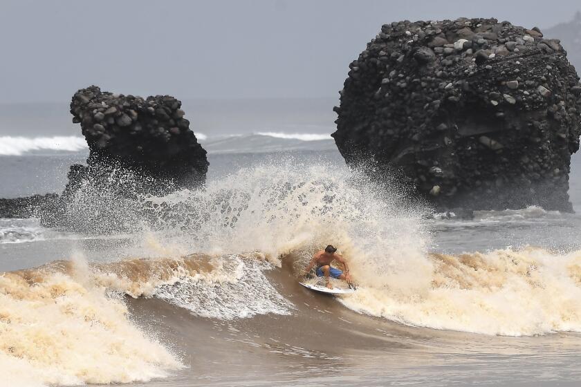 A surfer rides a wave in front of a volcanic rock resembling a pig, which gave the beach at El Tunco its name.